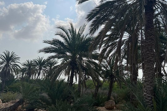 Tour image 8